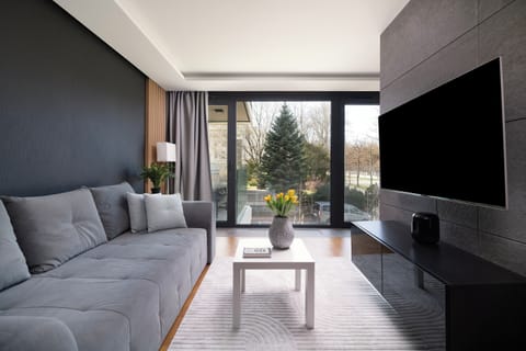 Flat-screen TV