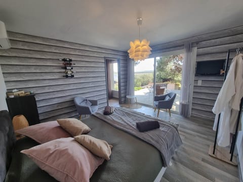 grande chambre avec coin salon séparée de la cuisine et de la salle d'eau