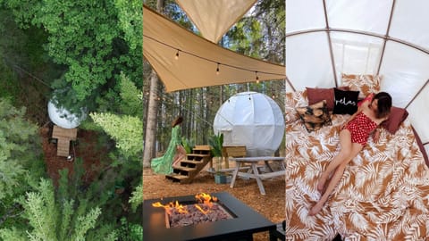 Alberta's only treehouse cocoon