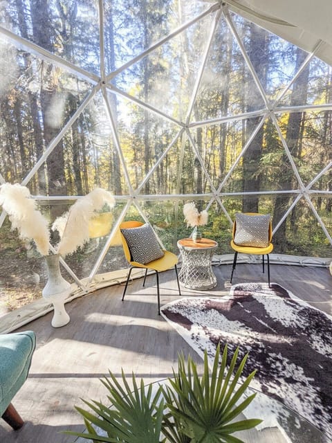 Our largest geodome with forest views
