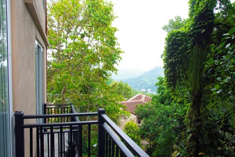 Deluxe Double Room, Balcony, Mountain View | Free WiFi