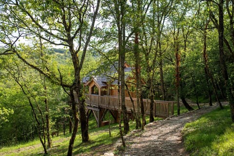 Lodge