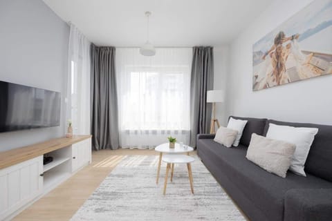 The bright living room with a comfortable sofa bed and flat-screen TV is a suitable space for relaxation and rest.