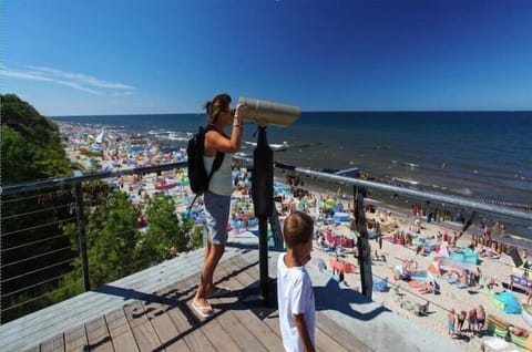 Immediate Surroundings [summer] (<1 km)