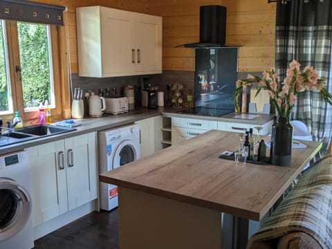 Cabin | Private kitchen | Fridge, microwave, oven, stovetop