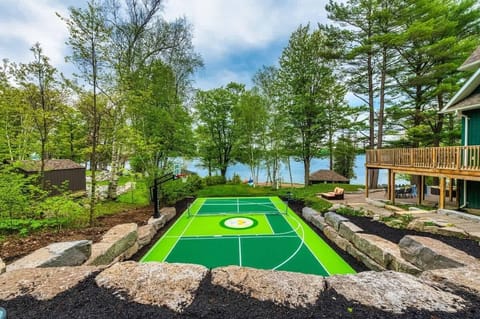 A championship-sized pickleball/badminton court with a state-of-the-art basketball half-court.