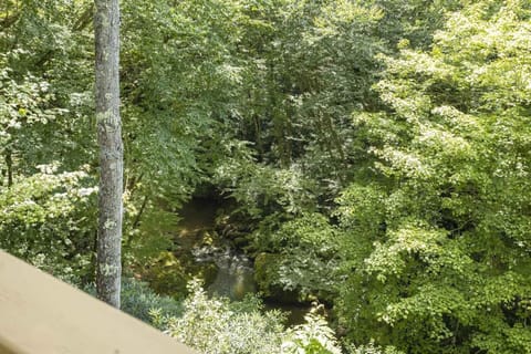 View of Buckeye Creek From the Cabin