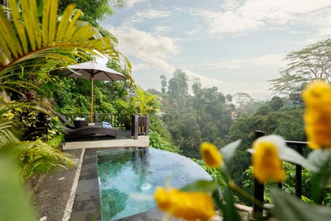 Joglo Villa 1 Bedroom | Private pool