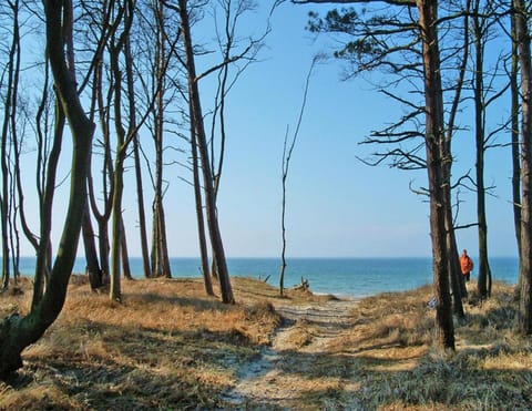 Apartment | Water view