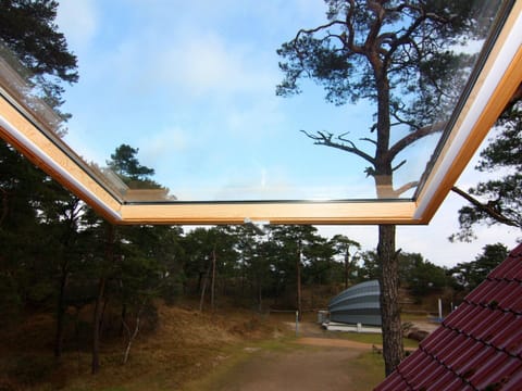 House | View from property