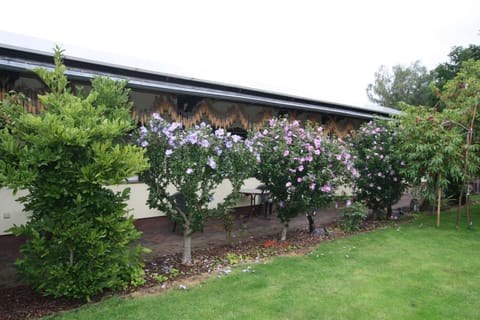 Bungalow | Exterior