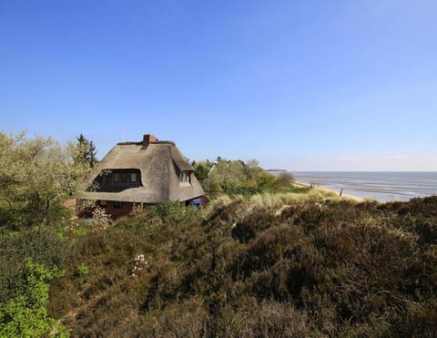 House | View from property