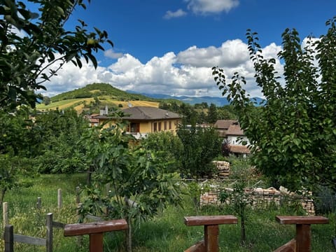 House | View from property