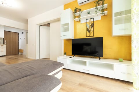 Flat-screen TV