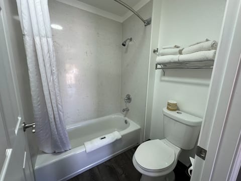 Bathtub, towels, soap, shampoo