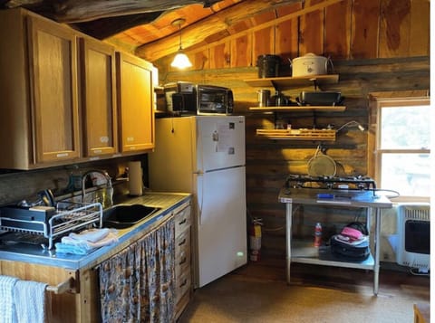 Kitchen area, Sink, propane cooktop and refrigerator