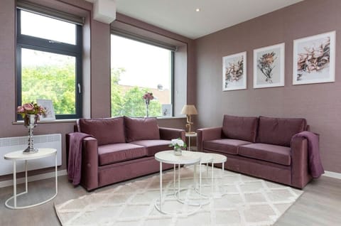 Integrated living and kitchen spaces in an open layout.