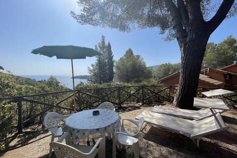 Appartamento Collina sul Golfo 14 Apartment in Tuscany