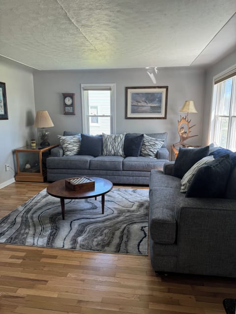 Comfy couches in living room