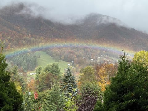 The gold awaits in the Smoky Mountains!