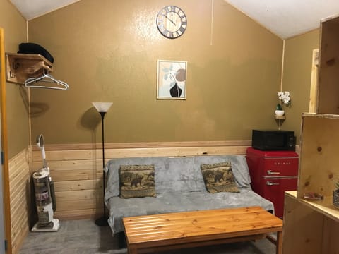 Futon, eating , watching tv area in the cabin.