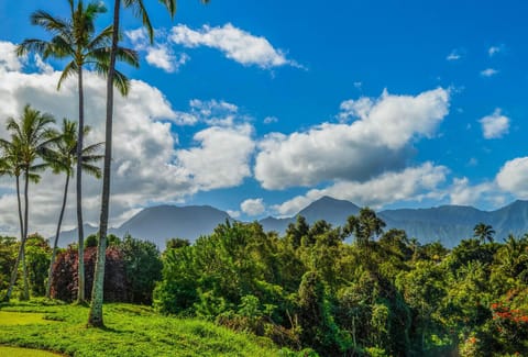 If the ocean views weren't enough, you'll also get to take in the mountains towering over the island! The mountain views are especially gorgeous after a rainstorm