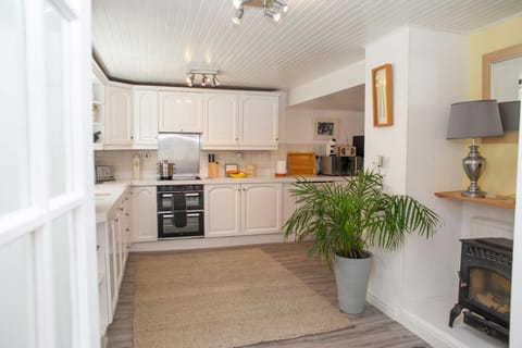Kitchen with electric feature wood burner fire