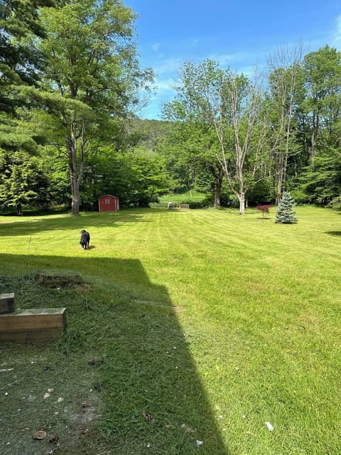 Property grounds