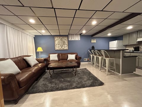 Lower Level Family Room