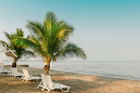 On the beach, snorkeling, windsurfing, beach bar