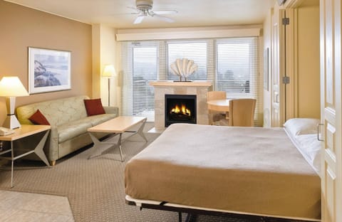 Living room with murphy bed out