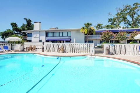 A refreshing outdoor community pool surrounded by breeze blocks, lounge chairs, and palm trees under clear blue skies. This property offers a peaceful poolside setting for sunny days.