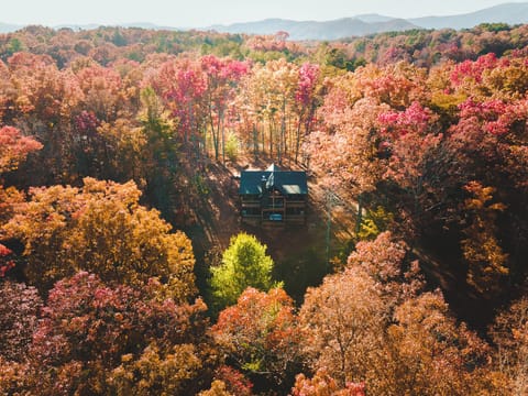 Escape to the mountains—secluded cabin with nature views, peace & fresh air!