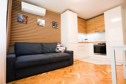 comfortable sofa  and fully equipped kitchen 