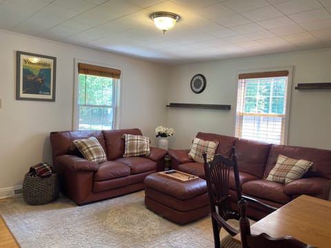 Cozy living room
