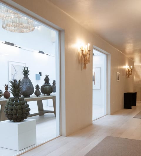 Seth Anderson Studio Gallery