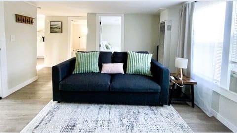 living room queen size sofa bed