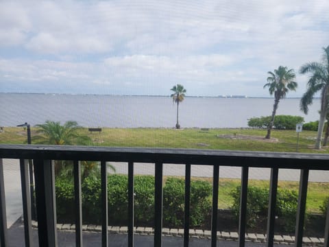 harbor view