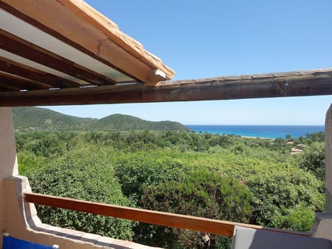 View