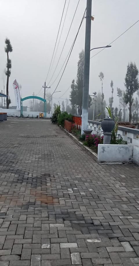 Free self parking