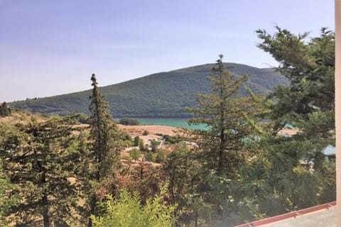 Region [summer] (>5 km)