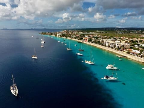 Stroll along downtown Kralendijk's vibrant malecón, where stunning views of sailboats gliding on blue waters and the picturesque Klein Bonaire await.