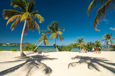 Soft white sands and swaying palms create your perfect Caribbean beach escape.
