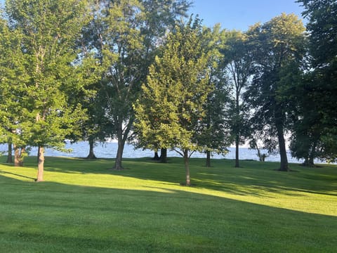 Welcome to the Lake!