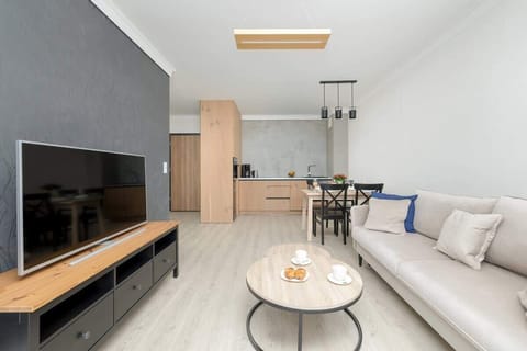 Living room with a fold-out sofa, TV and kitchenette with dining area.