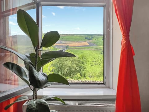 View | Mushroom Cottage, Tylorstown