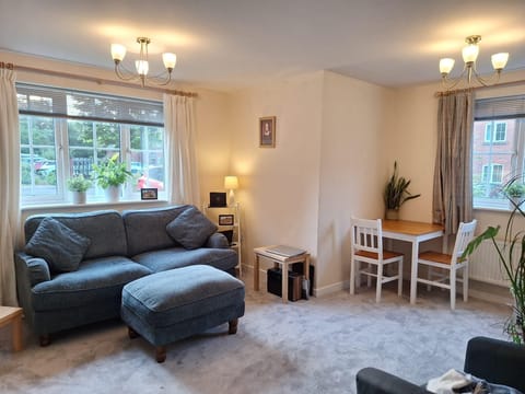 Apartment | Living area | TV