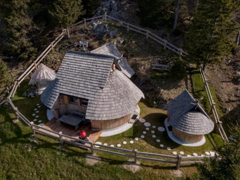 Chalet Kati on Velika planina