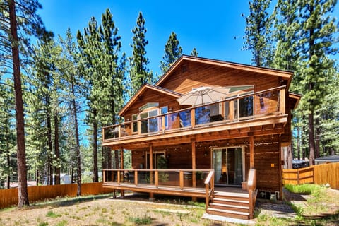 Modern mountain cabin nestled among towering pines with spacious decks and forest views.