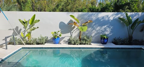 Outdoor Pool Area